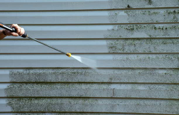 Best House Exterior Washing  in Wickliffe, OH